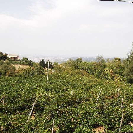 La Panoramica Villa Perarolo Exterior foto